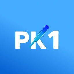 PK1 Game Download
