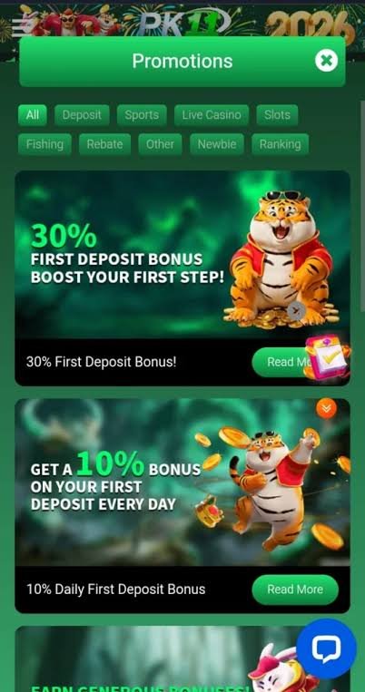 PK11 Game Download